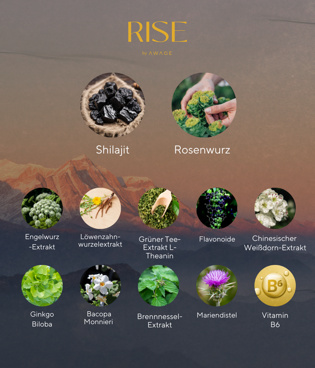 RISE - Derzeit nicht lieferbar. Wird bei Bestellung schnellstmöglich nachgeliefert.